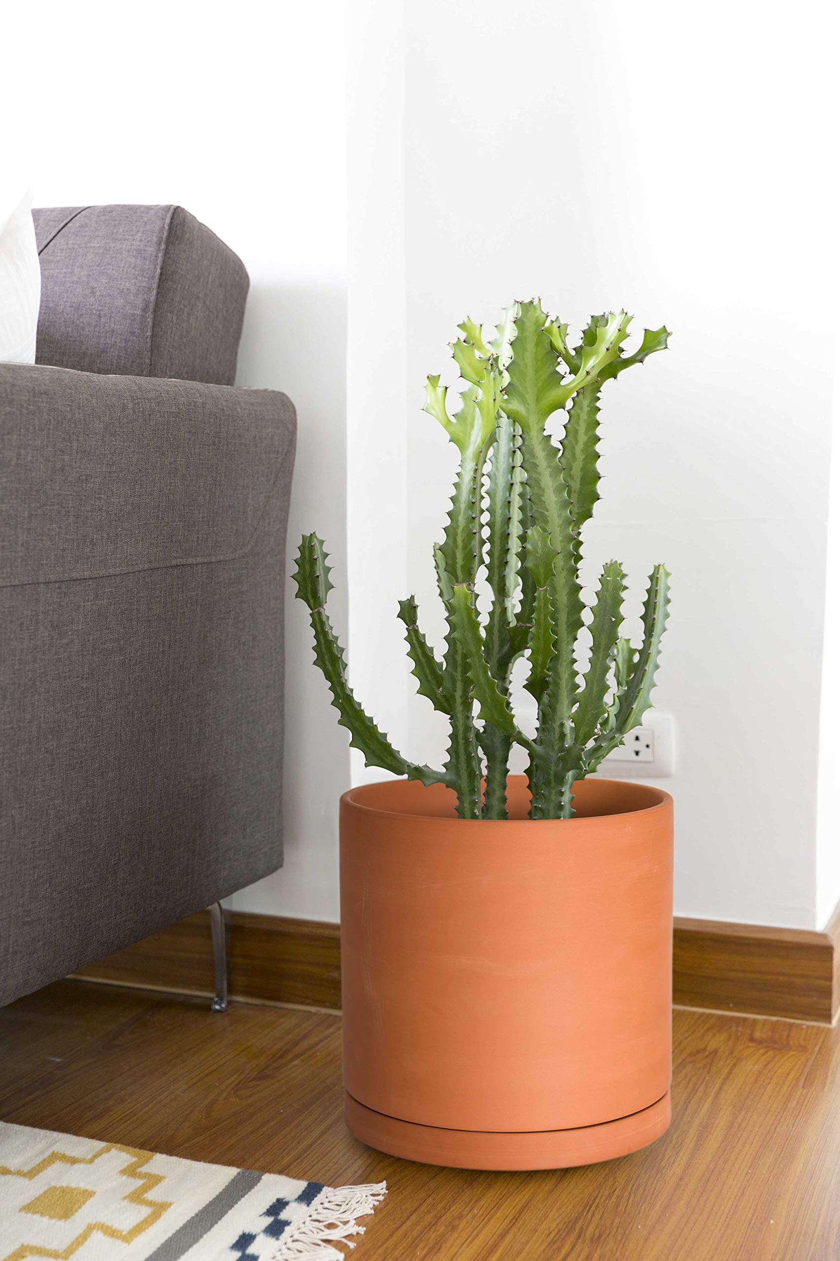 D'vine Dev planter in living room setting enhancing decor with warm terracotta tone