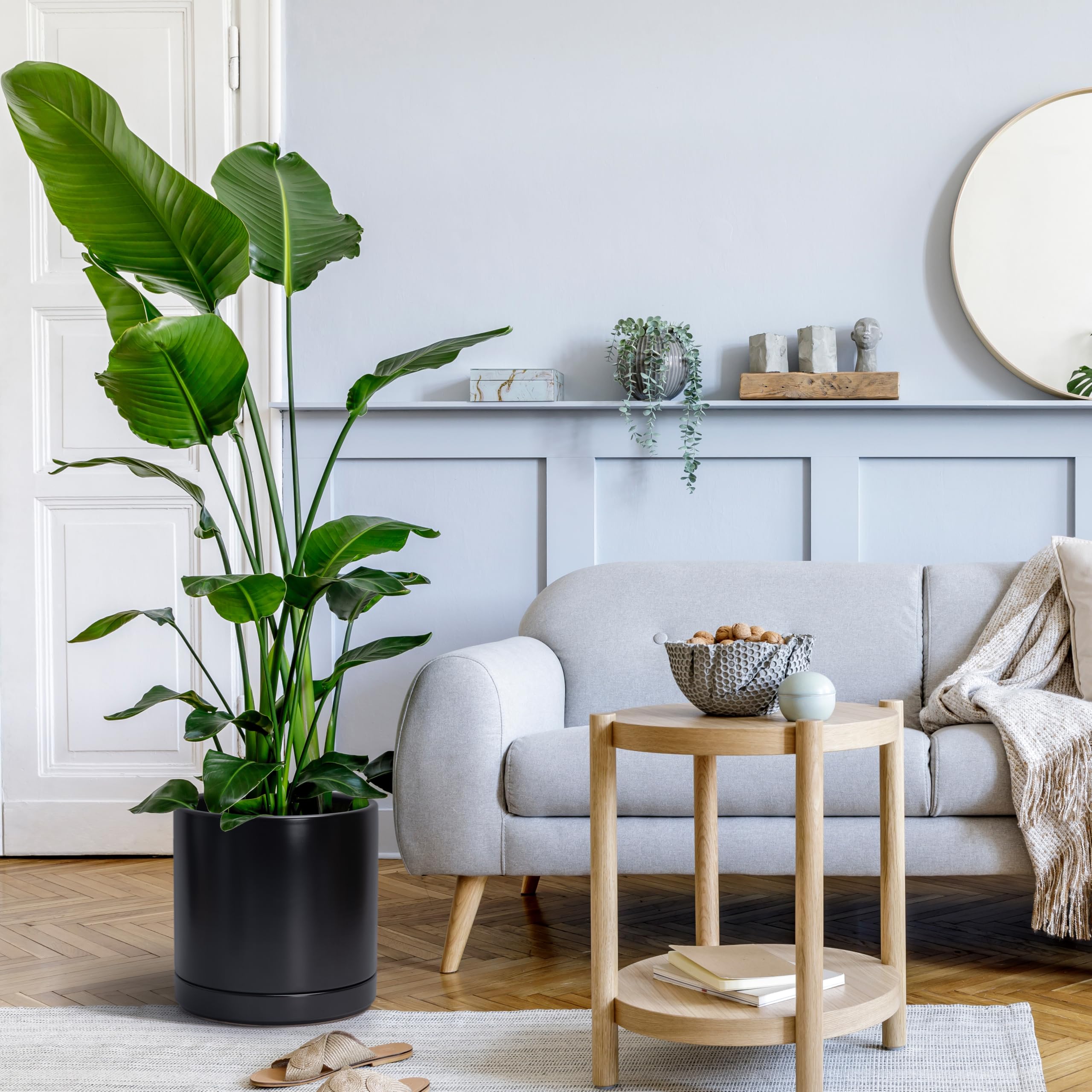 D'vine Dev planter staged in living room to show decor integration and aesthetic uplift