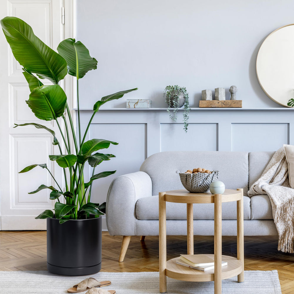 D'vine Dev planter staged in living room to show decor integration and aesthetic uplift