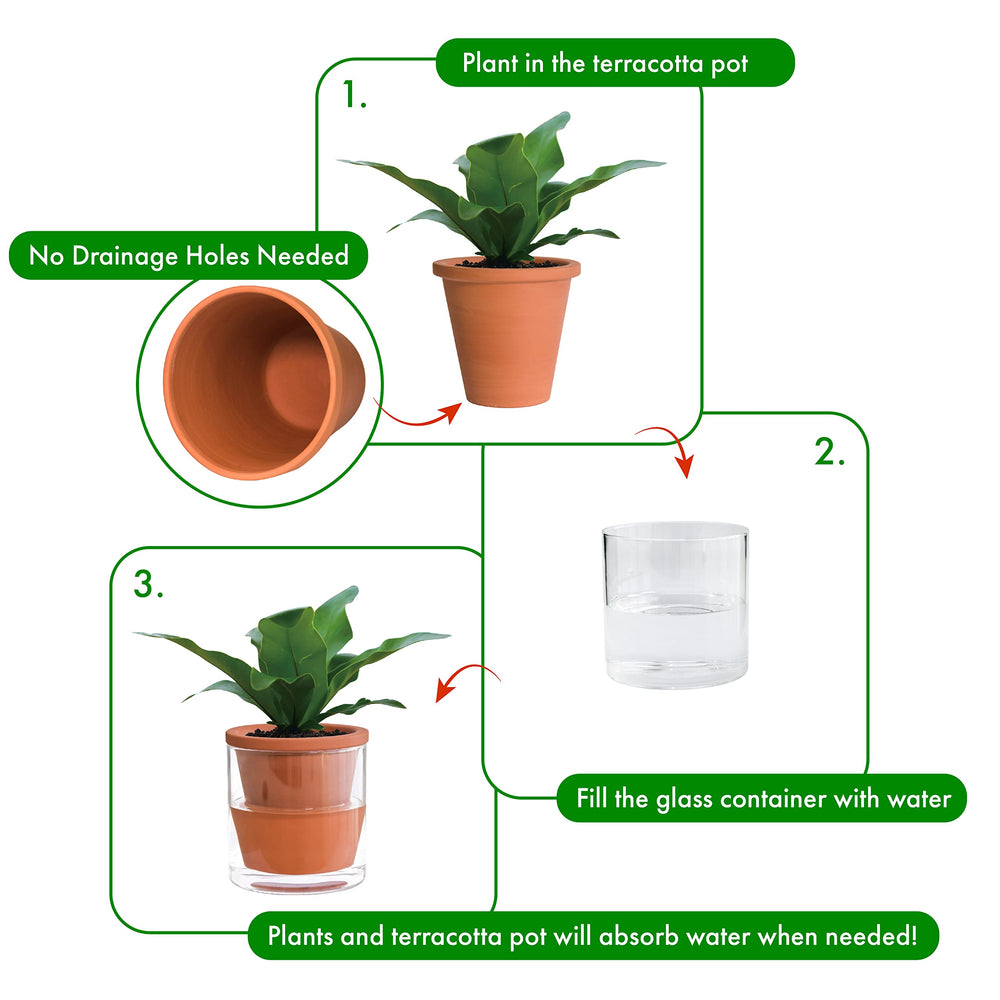 D'vine Dev planter on windowsill demonstrating healthy small-plant display convenience