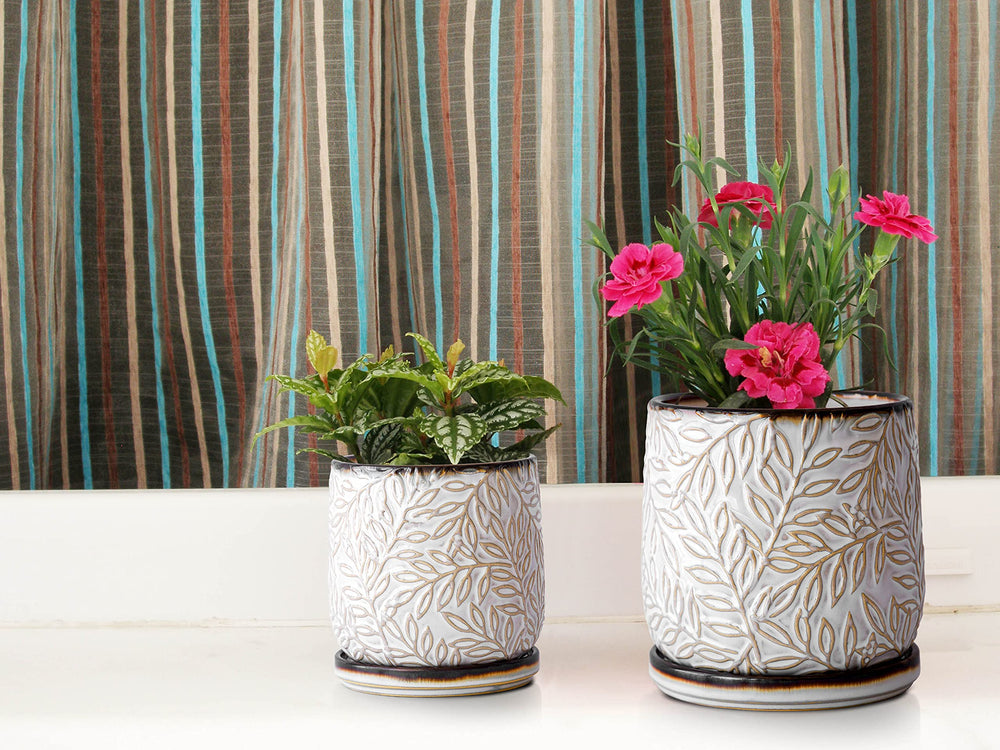 D'vine Dev planter on windowsill with plant illustrating natural light benefit