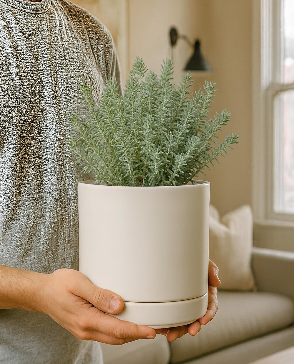 D'vine Dev planter on a windowsill with foliage, illustrating stylish indoor display