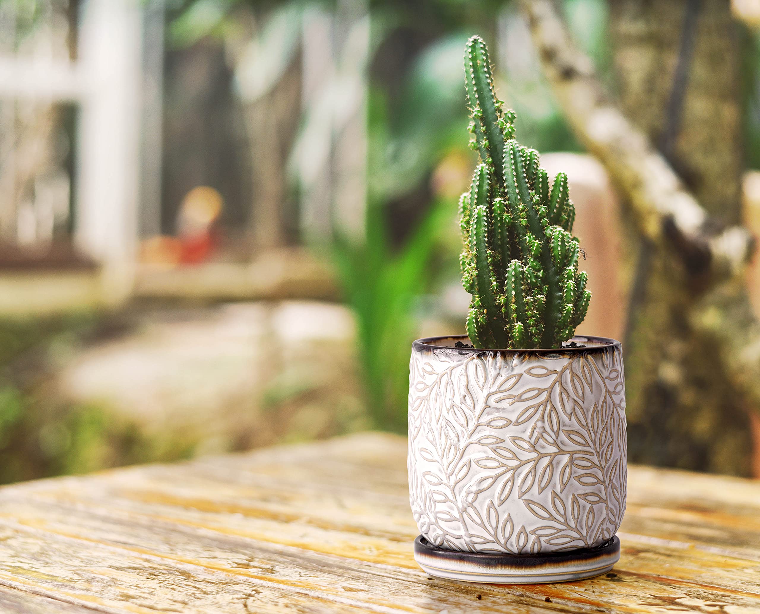 D'vine Dev planter styled on shelf adding modern decor and plant display
