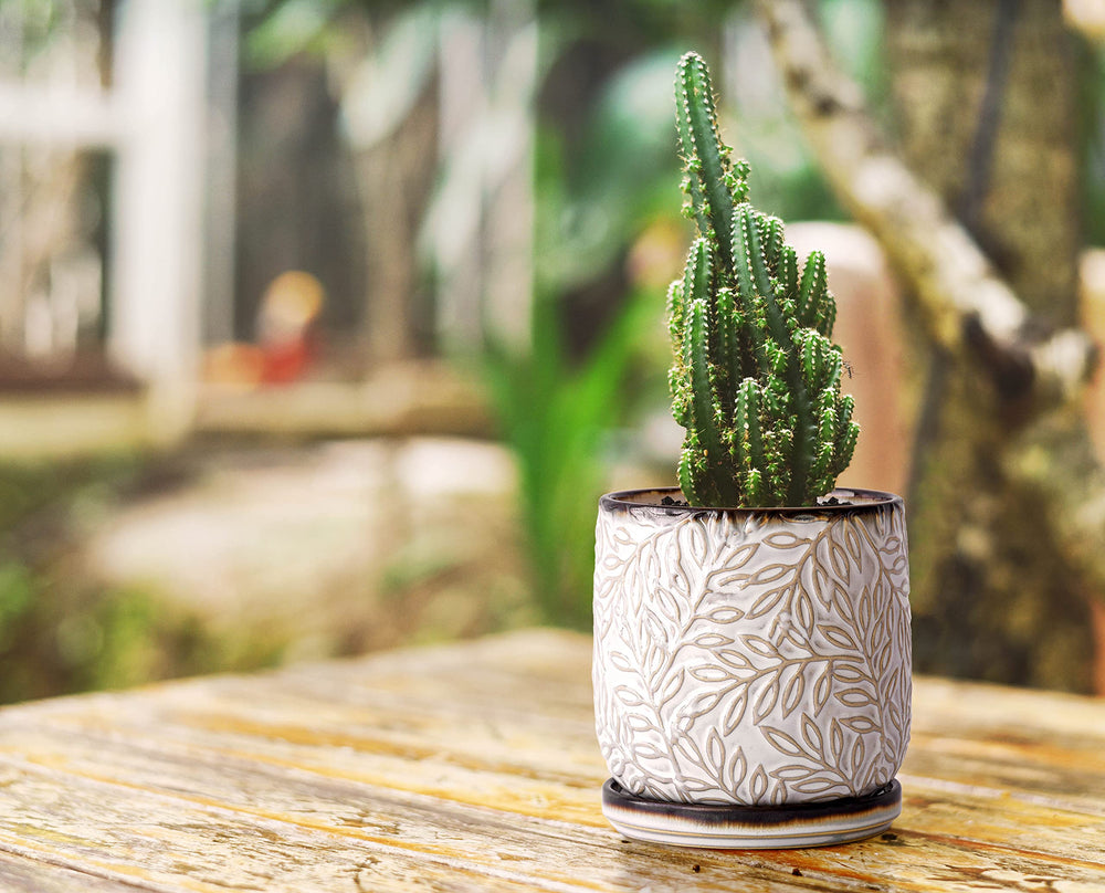 D'vine Dev planter styled on shelf adding modern decor and plant display
