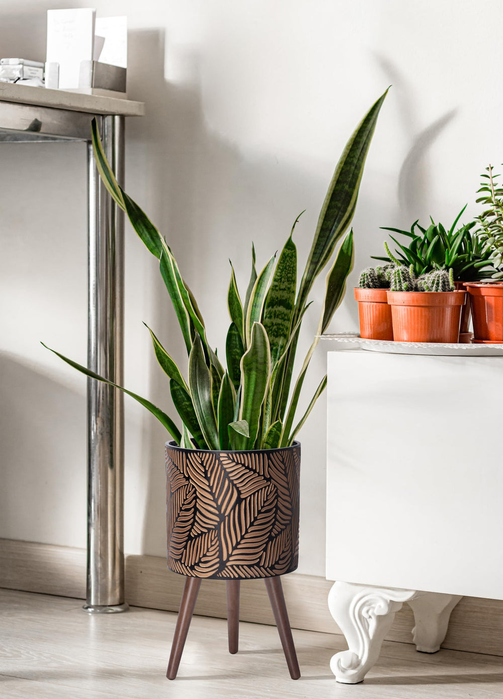 D'vine Dev planter next to a book showing size and scale for room planning