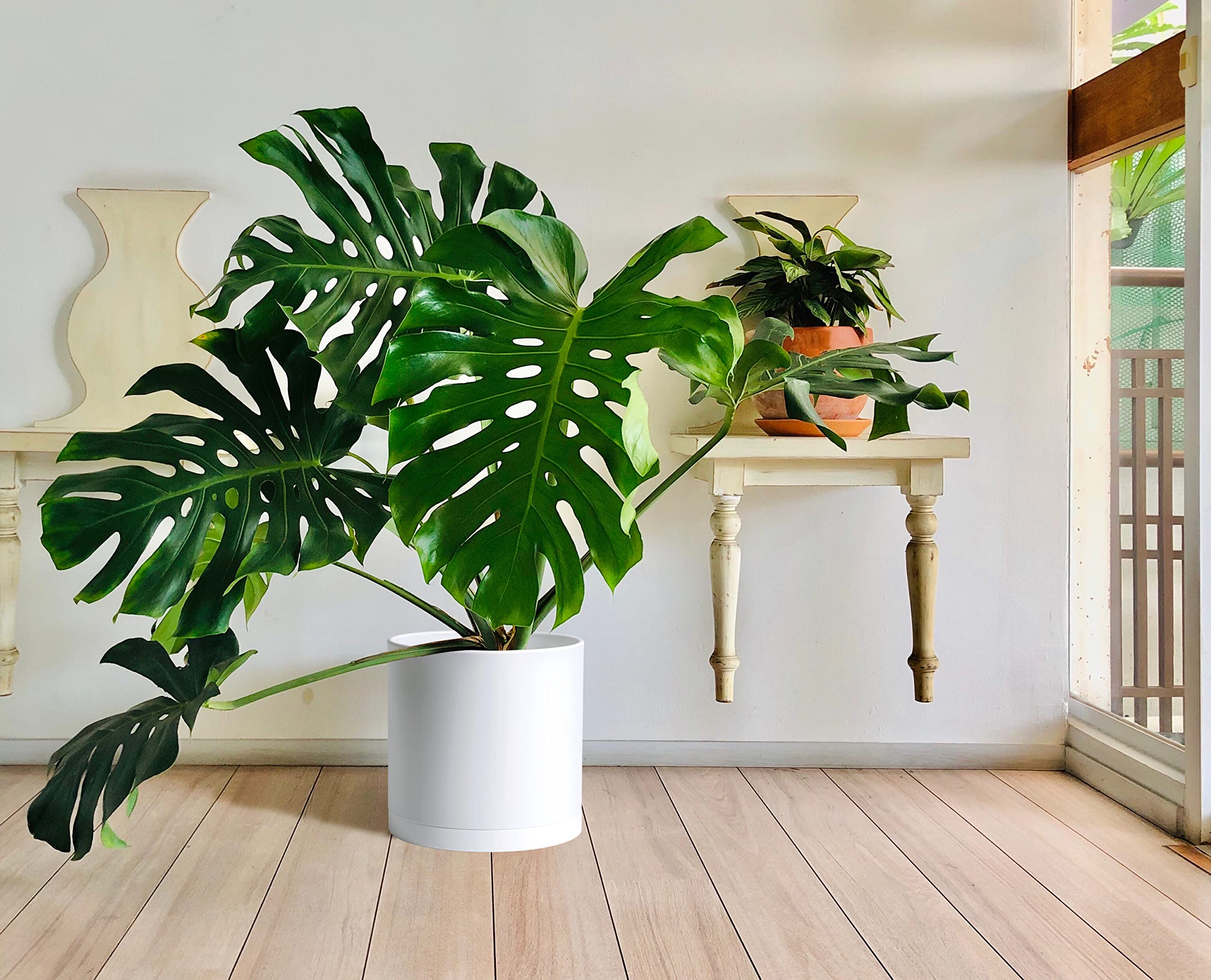 D'vine Dev planter next to a chair showing 14-inch scale and portability