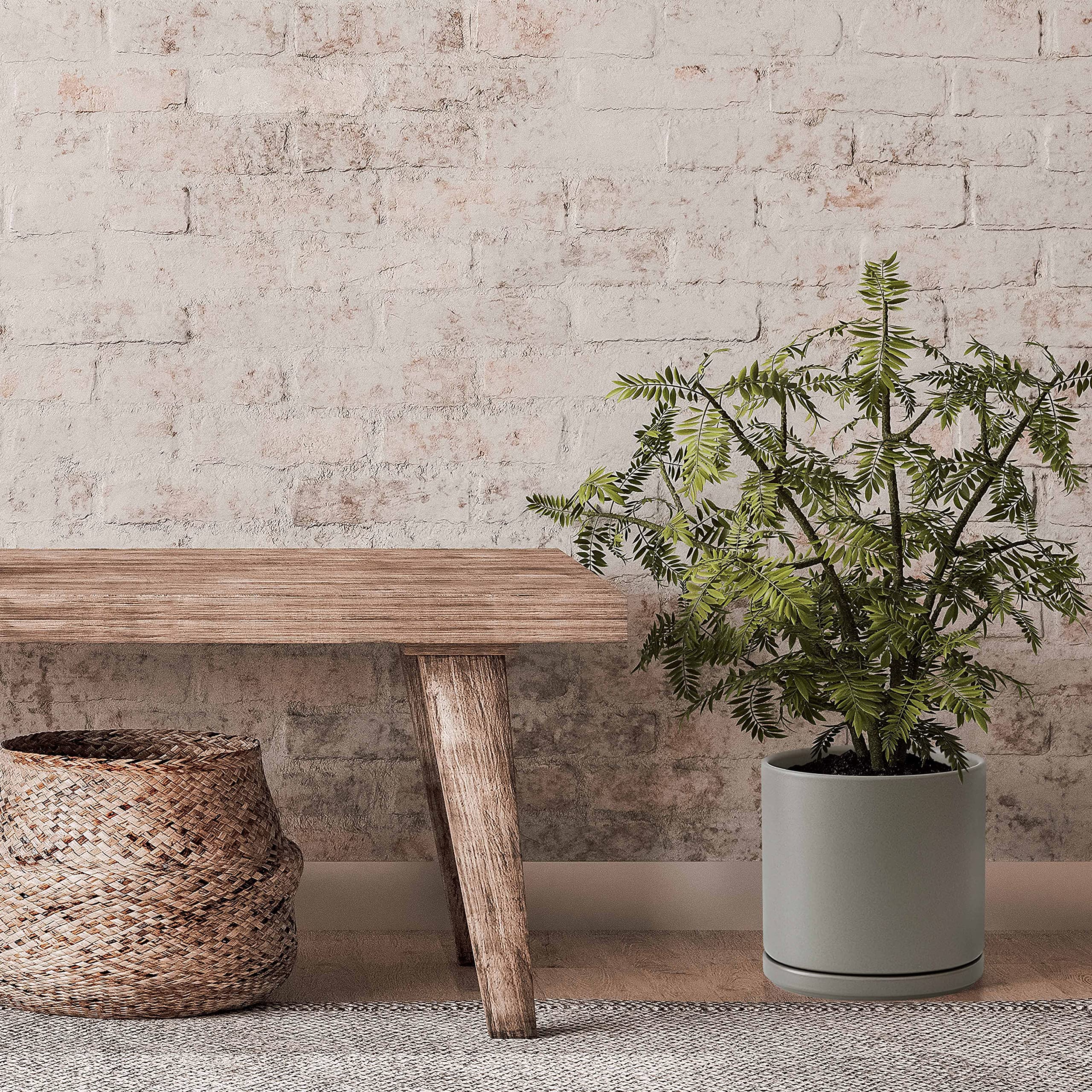 D'vine Dev planter next to common objects showing 10 inch scale and spatial fit