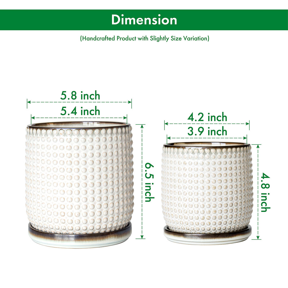 D'vine Dev top view revealing smoked-white interior and usable planting depth for roots
