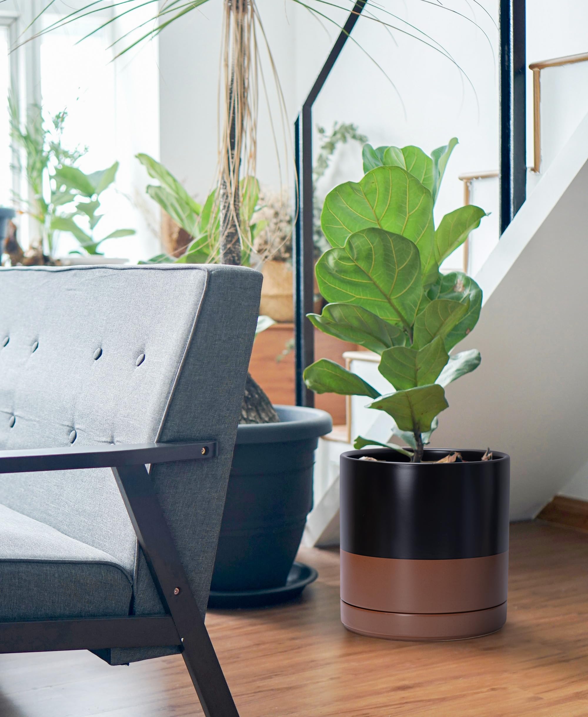 D'vine Dev planter staged with foliage in living room for stylish room enhancement
