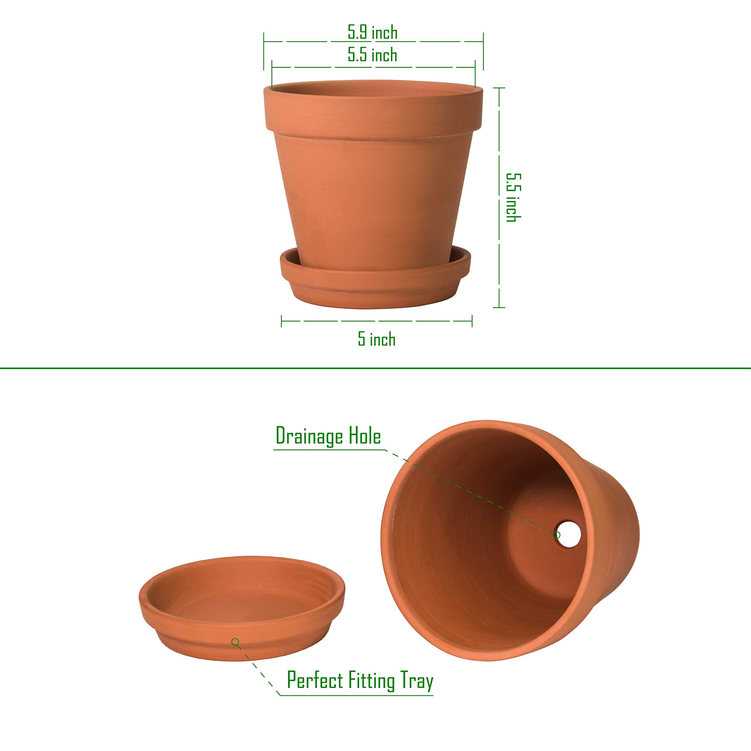 D'vine Dev pot seated on matching saucer catching excess water and protecting surfaces
