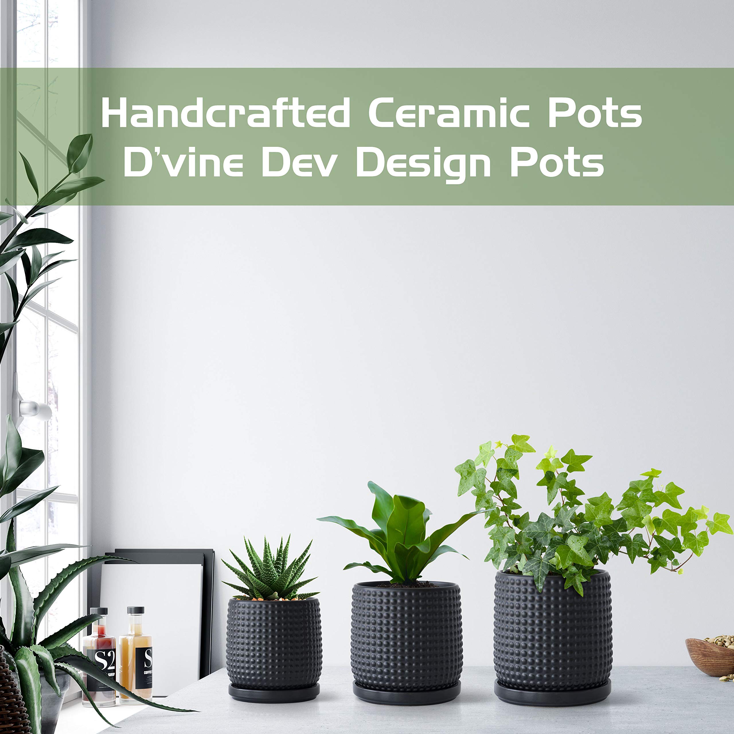D'vine Dev pot held in hand for scale illustrating compact size and ease of placement