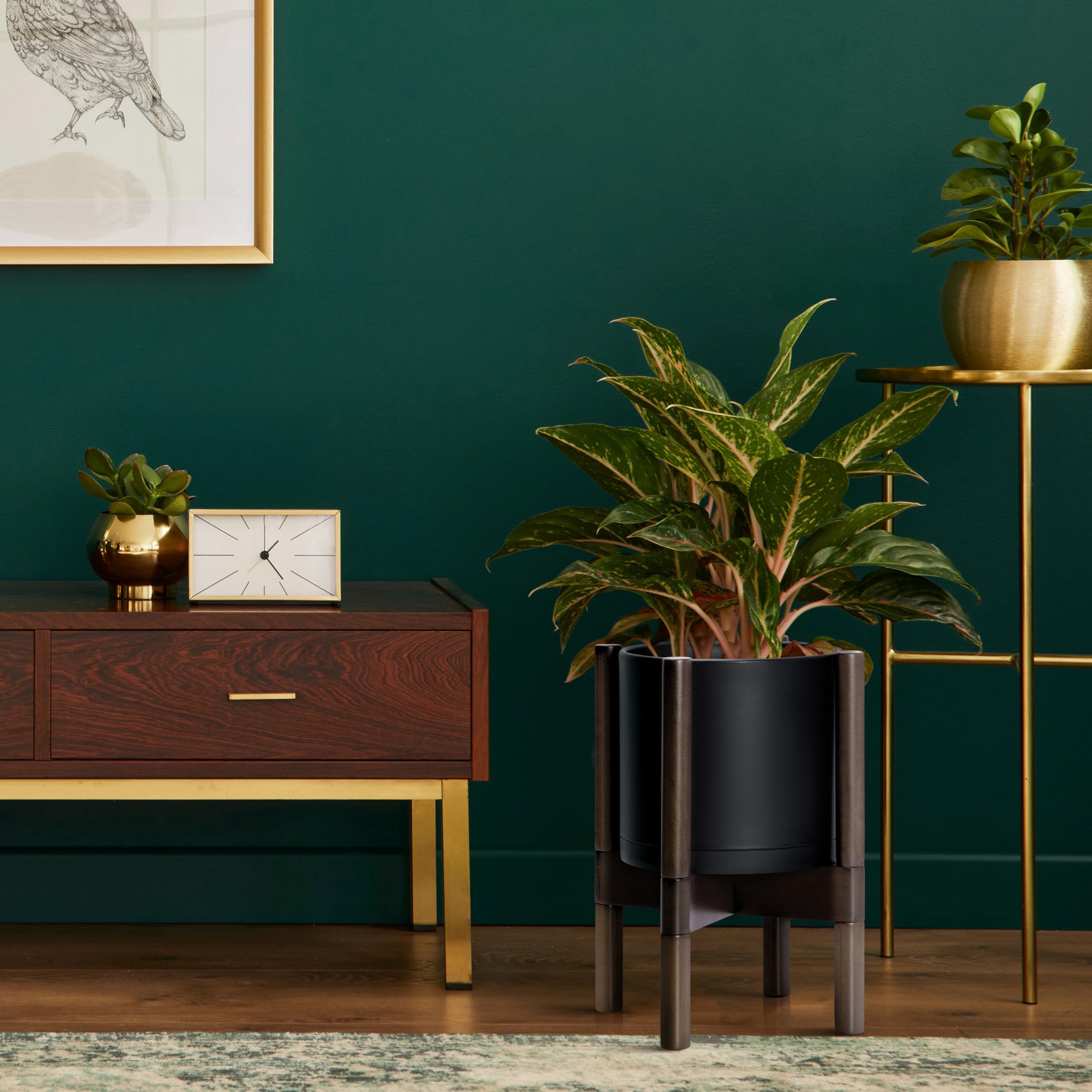 D'vine Dev pot with live plant in use offering easy indoor display solution