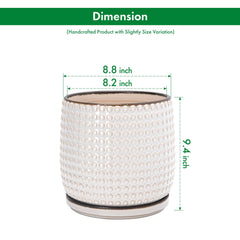 D'vine Dev side angle of pot with matching saucer showing secure fit