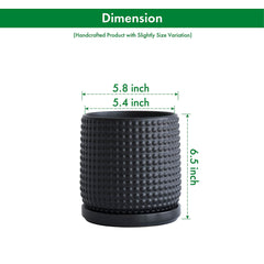 D'vine Dev pot with matching saucer side profile showing neat fit and water collection