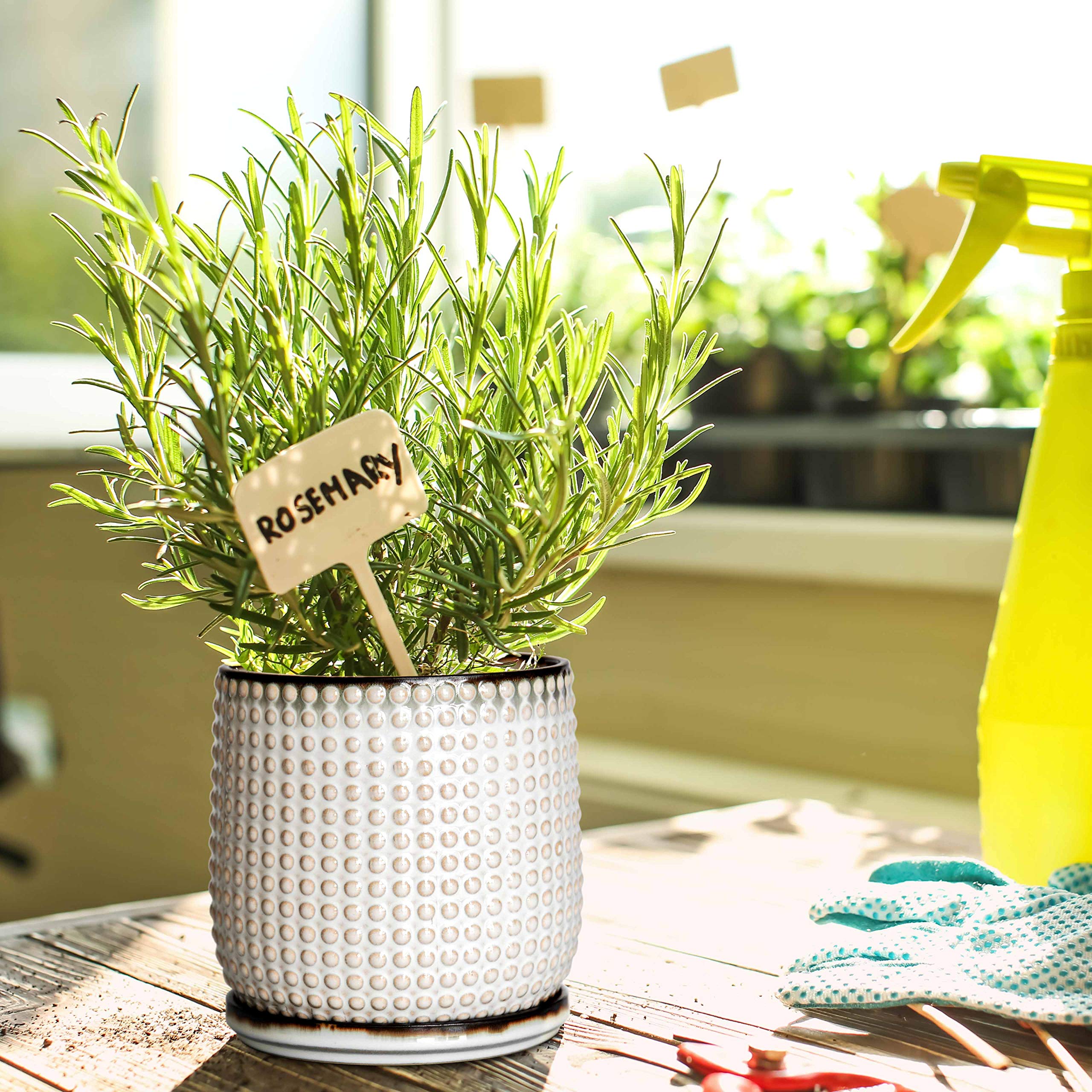 D'vine Dev protective pad under pot protecting surfaces and preventing scratches benefit