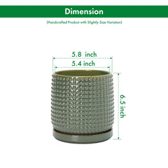 D'vine Dev matching saucer with bottom view showing protective pad benefit