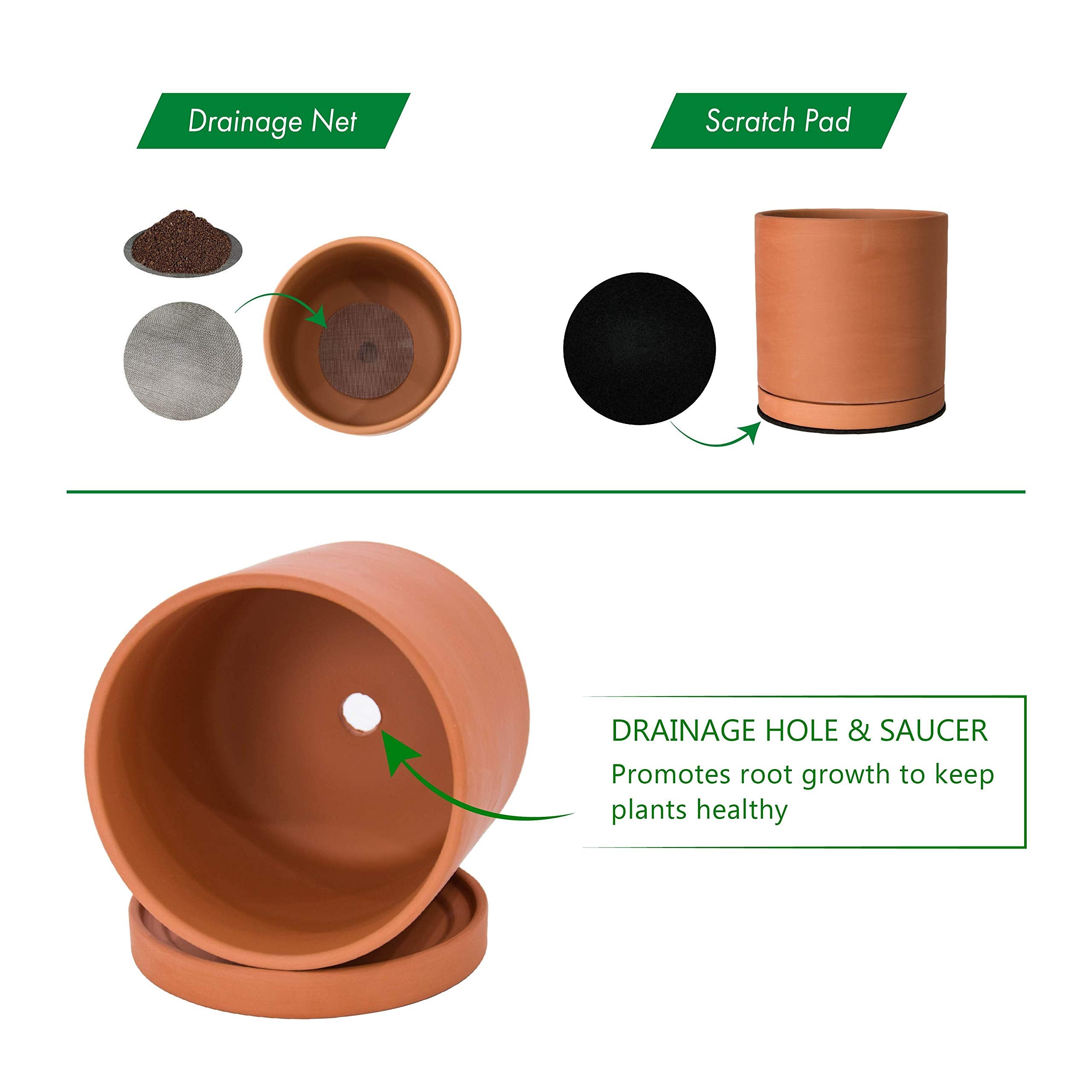 D'vine Dev saucer with protective pad collecting runoff and protecting surfaces