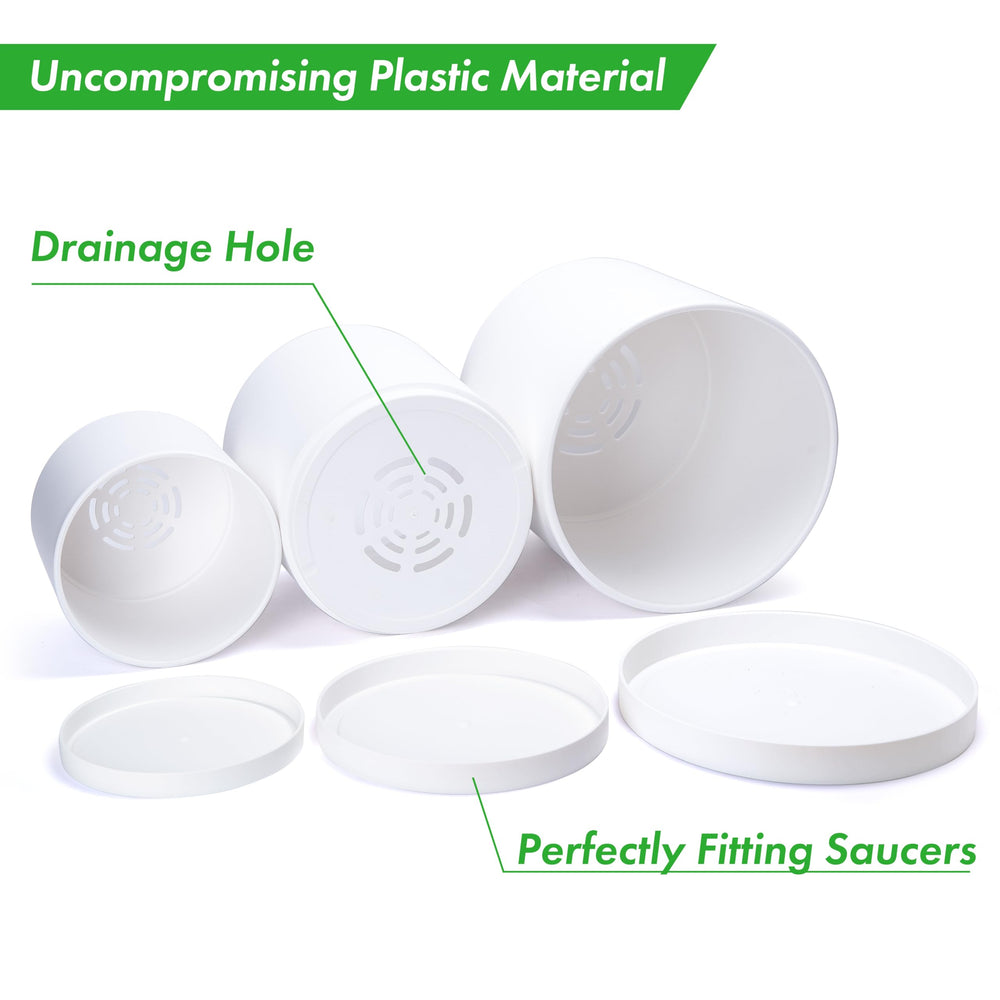 D'vine Dev detachable seamless saucer detail demonstrating clean fit and surface protection