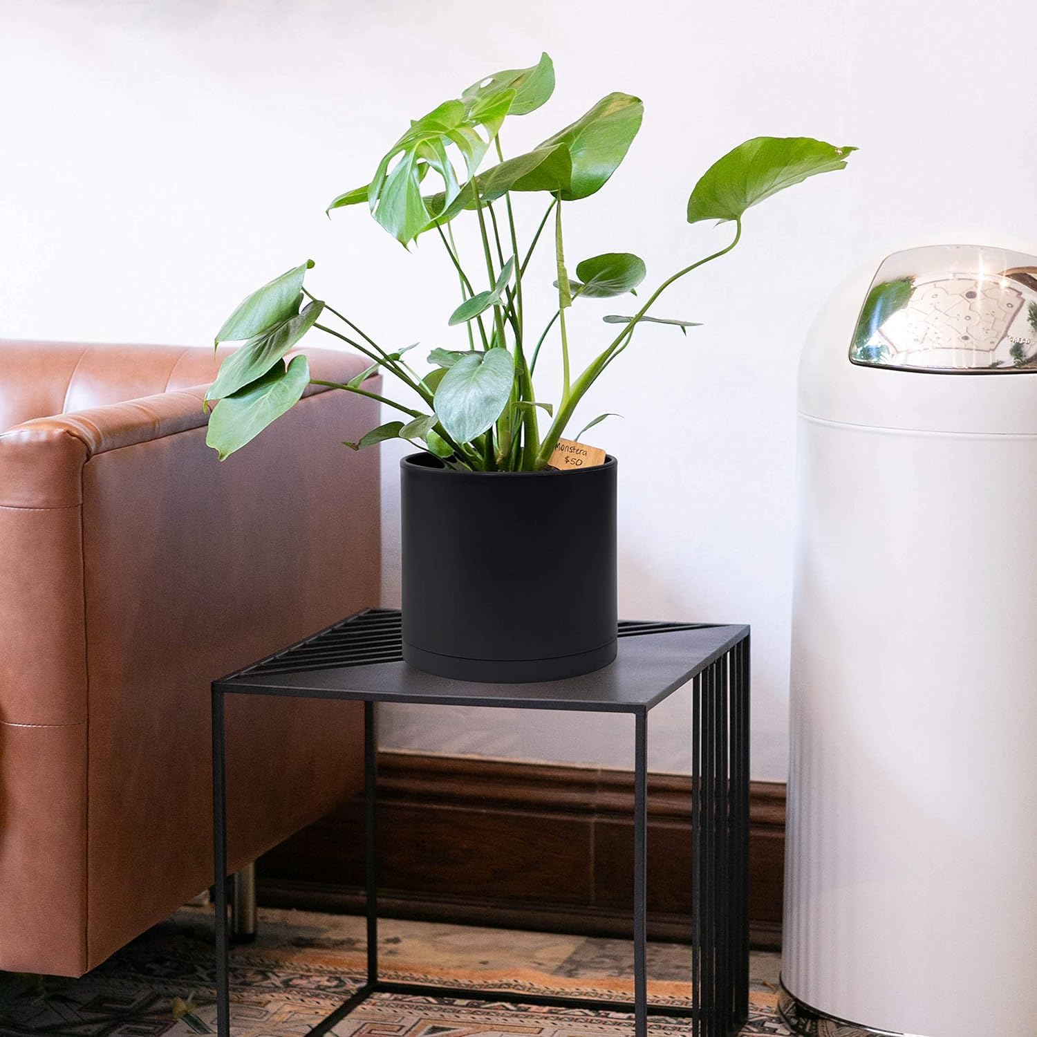 D'vine Dev saucer removed from pot showing seamless fit and easy cleaning benefit
