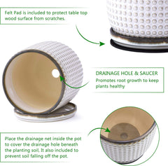 D'vine Dev saucer detail showing perfect fit and leak protection benefit