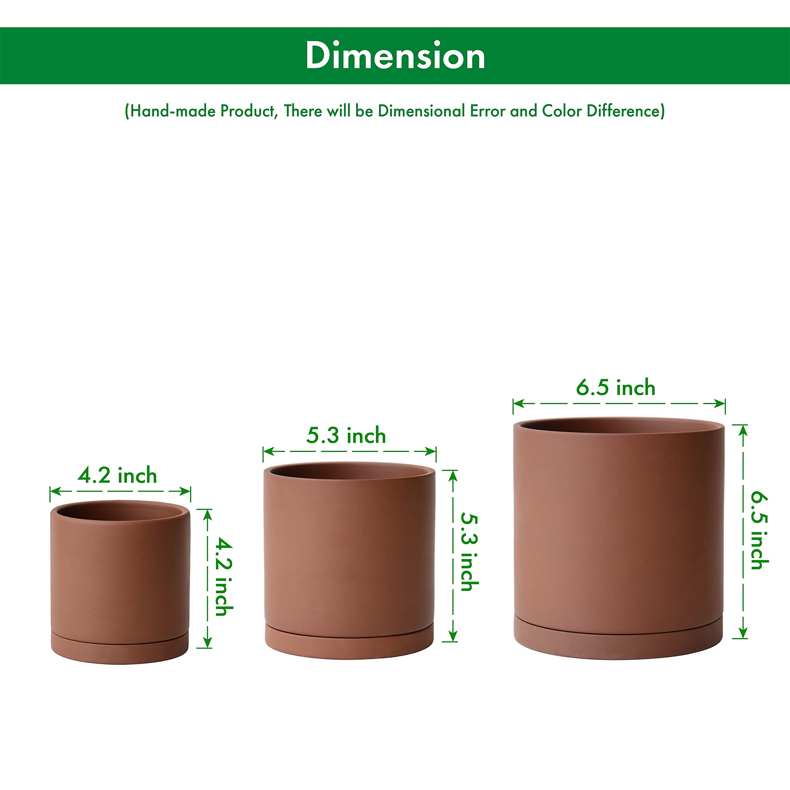D'vine Dev matching terracotta saucers lined up protecting surfaces from drips