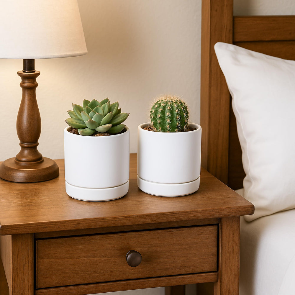 D'vine Dev pot held in hand for scale showing compact size ideal for small indoor spaces