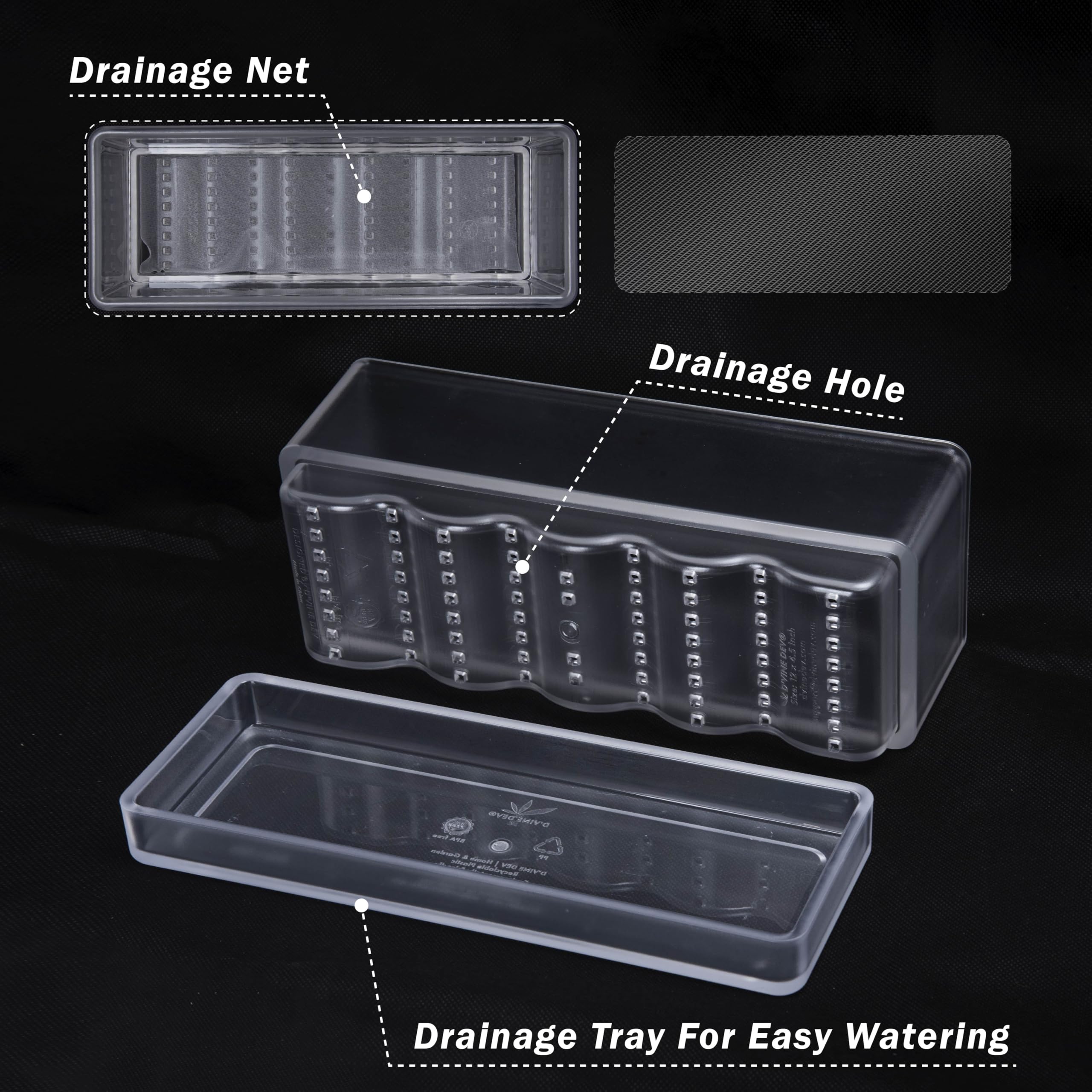 D'vine Dev side profile displaying visible roots for easy monitoring benefit