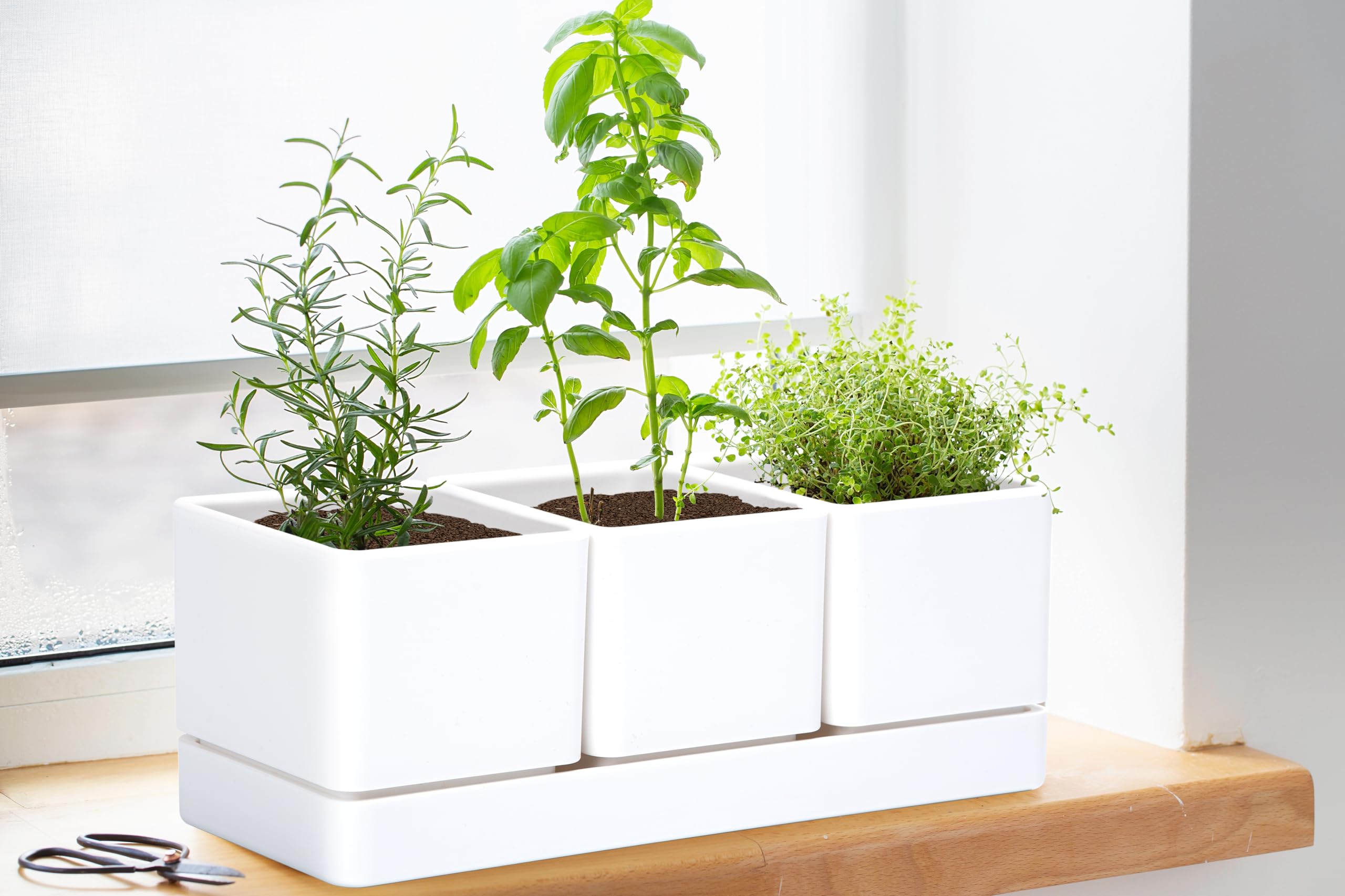 D'vine Dev side profile of tray and pots demonstrating neat alignment and space saving