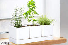 D'vine Dev side profile of tray and pots demonstrating neat alignment and space saving