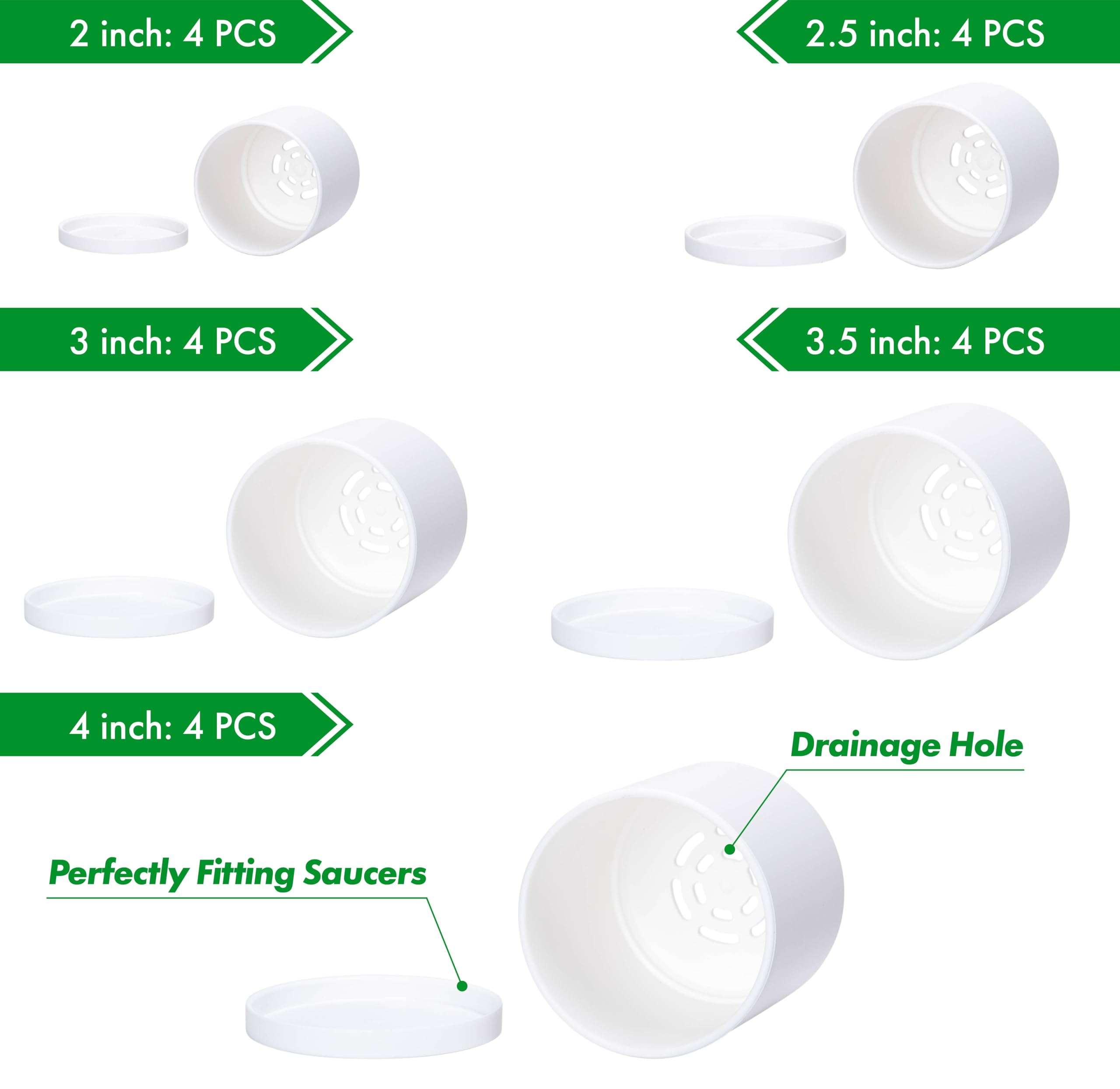 D'vine Dev group displaying five sizes to show scale and selection advantage