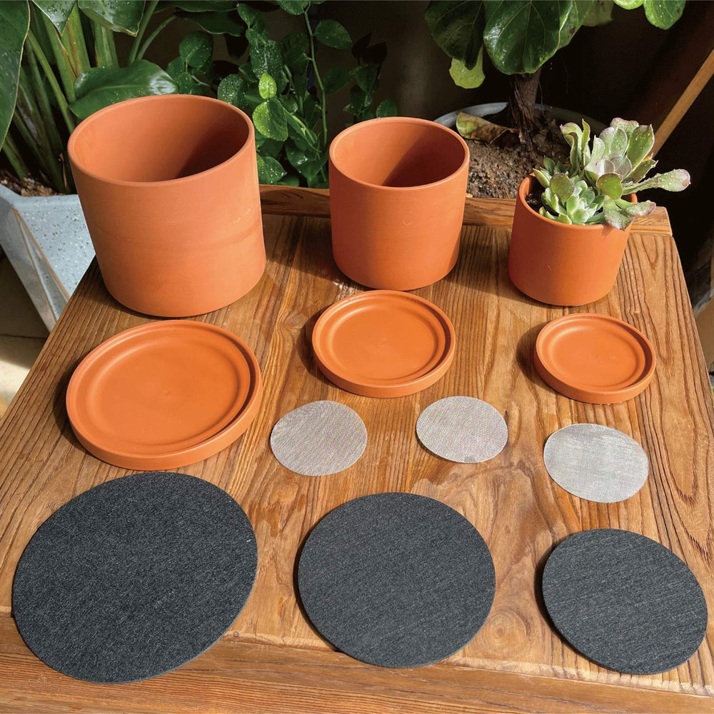 D'vine Dev three pots side-by-side showing 4, 5, 6 inch sizes, clarifies scale benefit