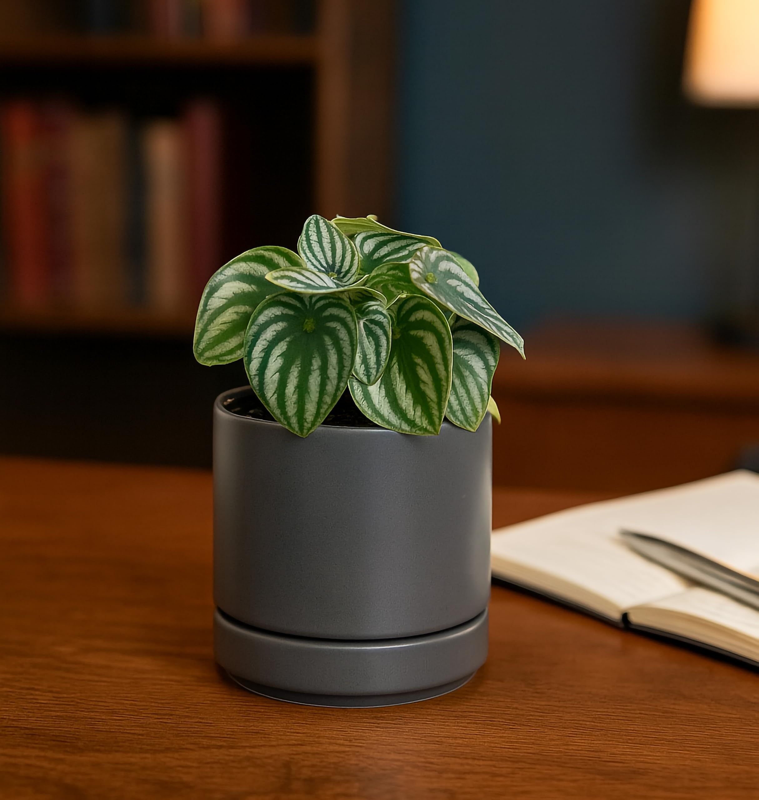 D'vine Dev pot in hand for scale demonstrating compact size and easy placement