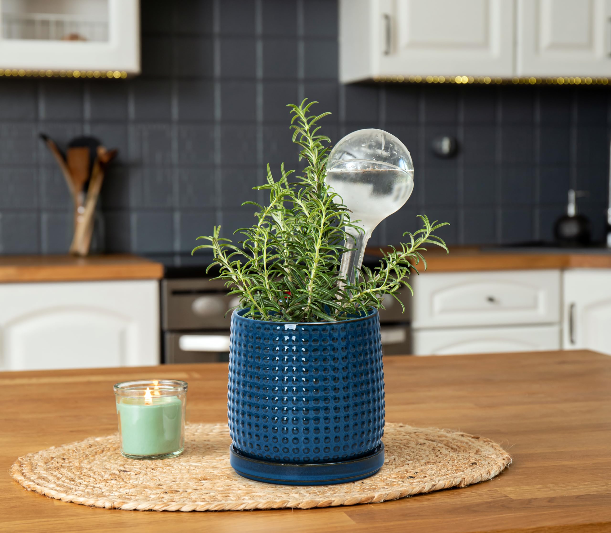 D'vine Dev pot held in hand showing 6-inch scale for small plants