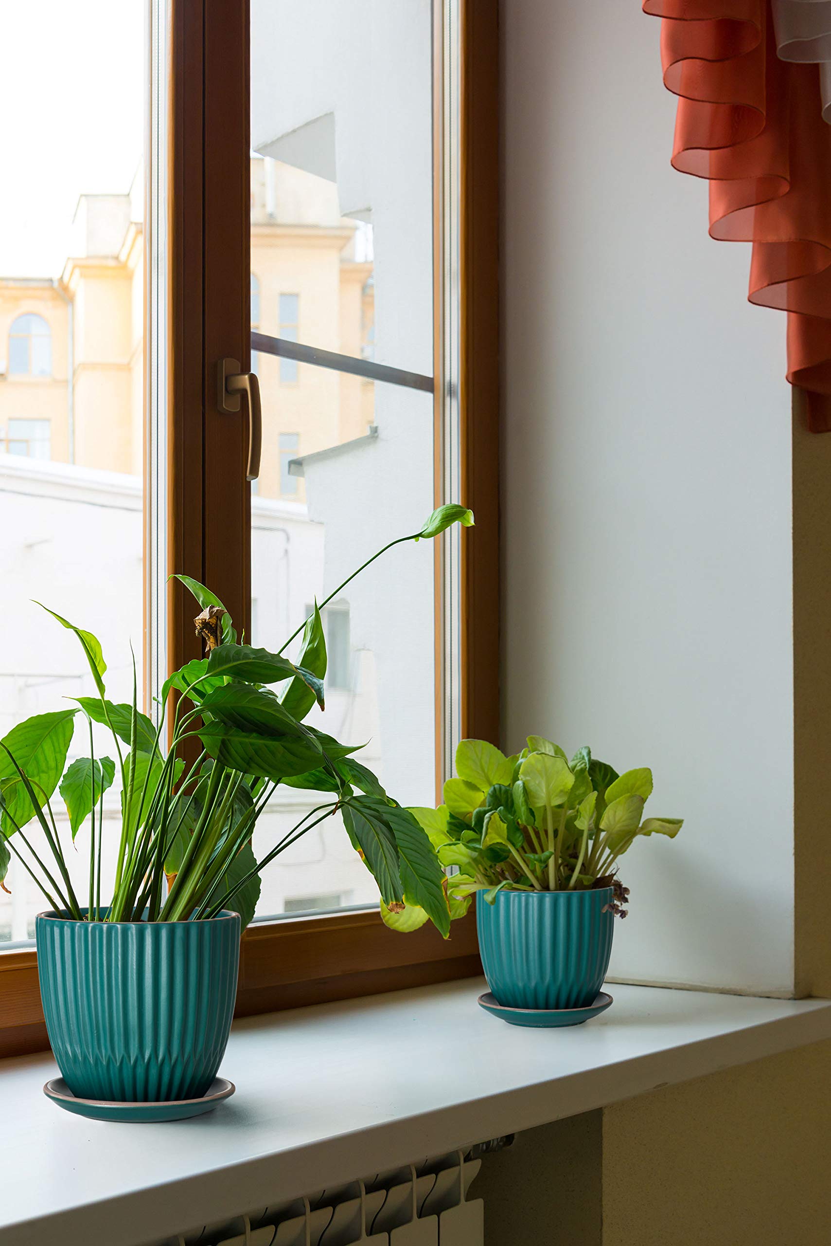 D'vine Dev on bookshelf with plants showing how set elevates interior styling