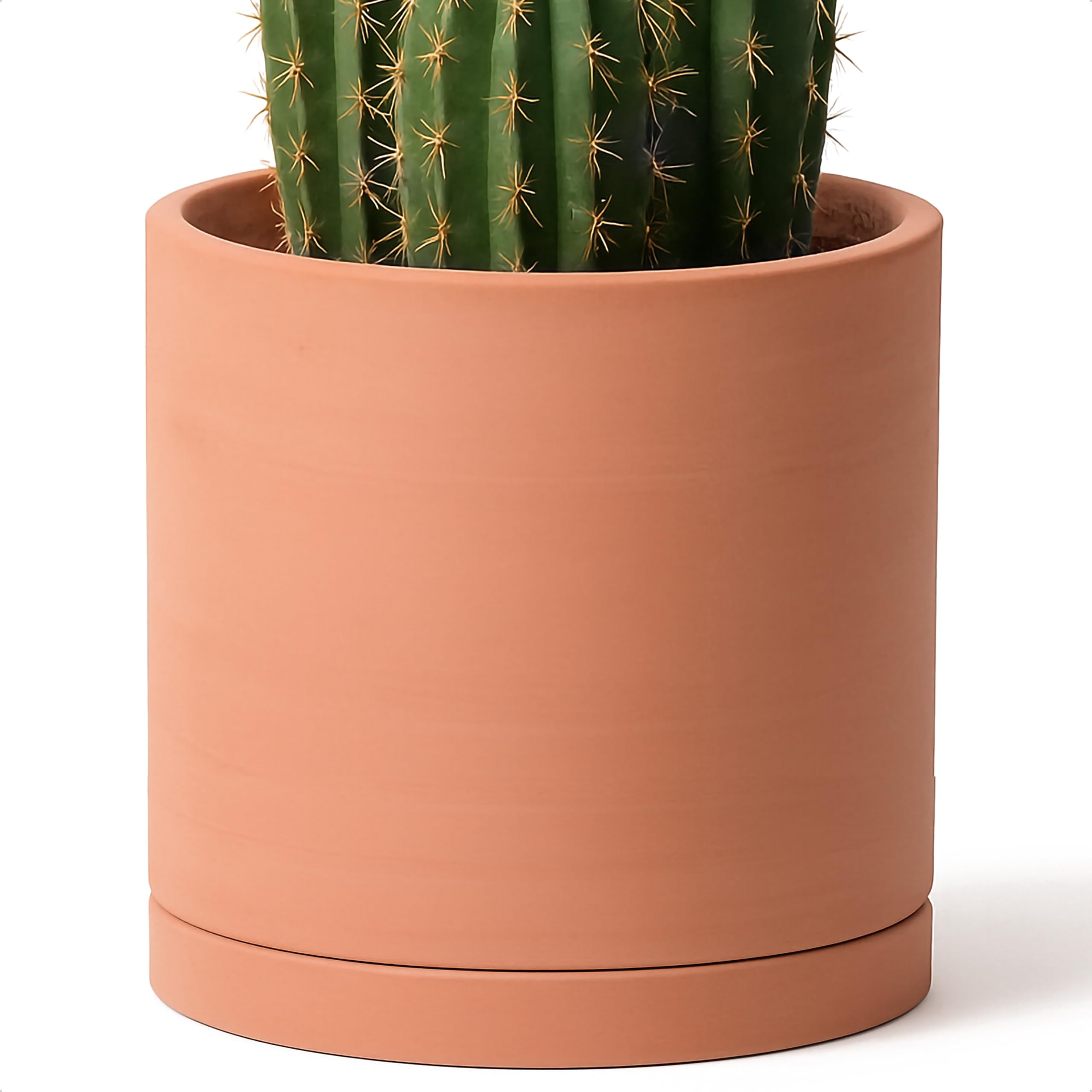 D'vine Dev front view of terracotta pot showing clean minimalist shape and finish