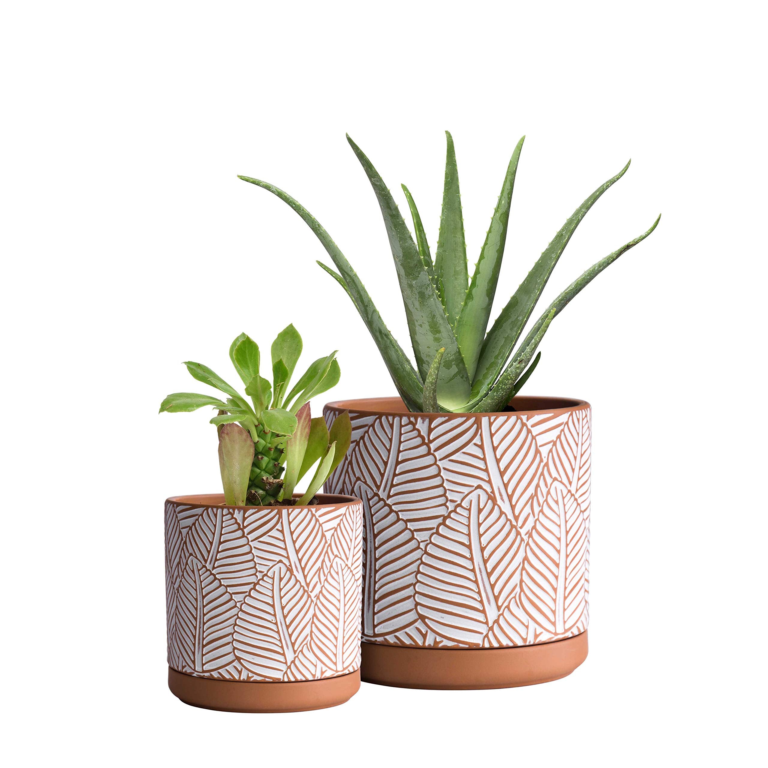 D'vine Dev terracotta clay finish close detail showing natural breathability benefit