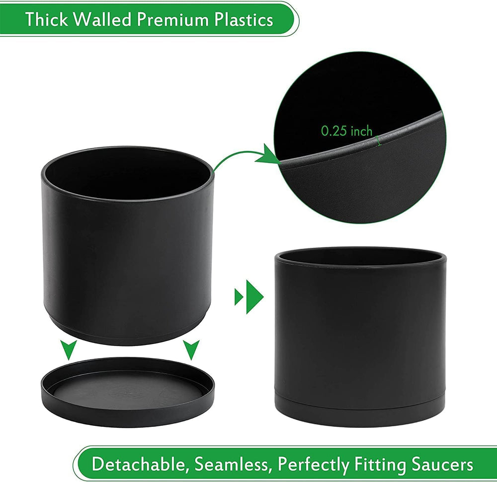 D'vine Dev two-pack displayed on shelf showing matching design and cohesive styling benefit