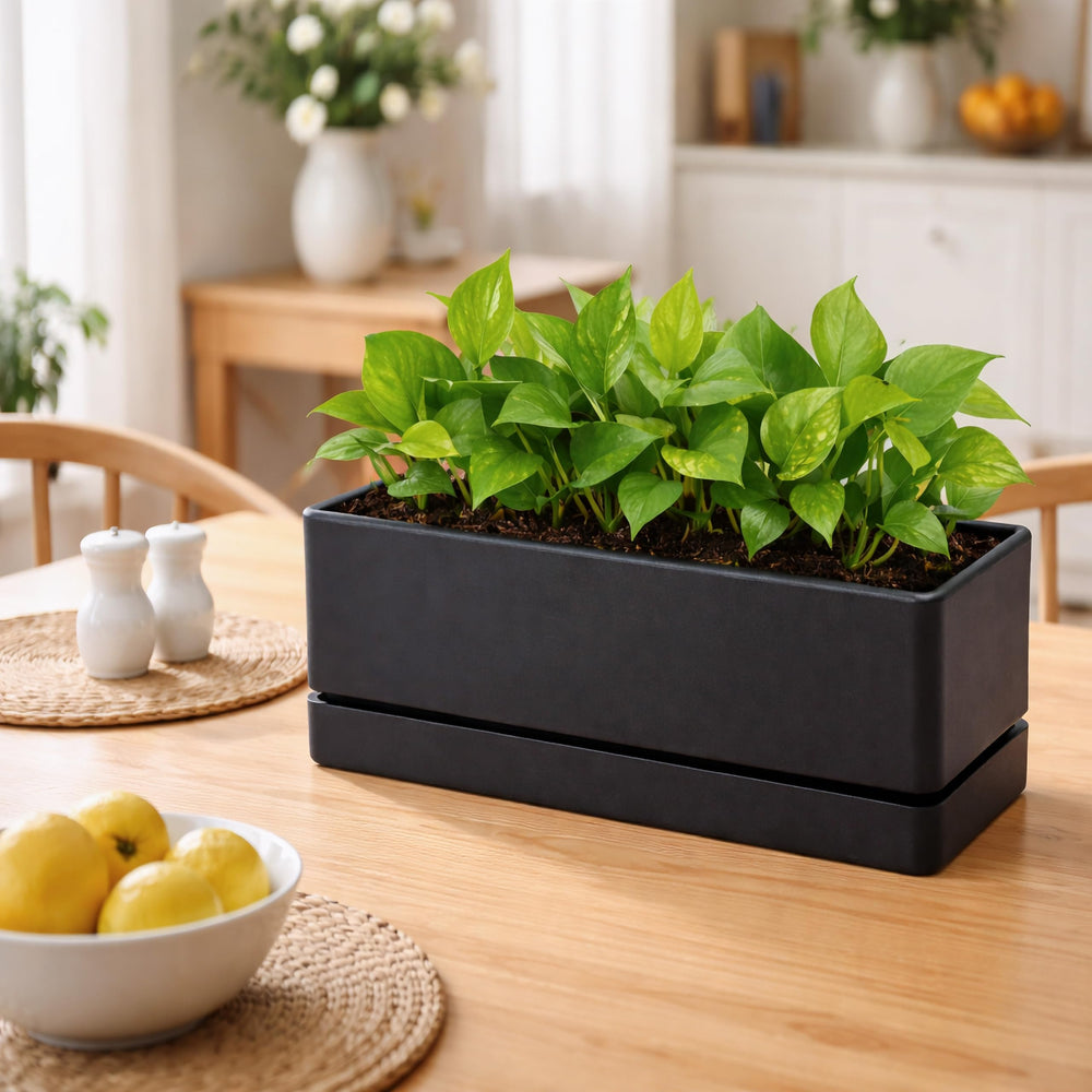 D'vine Dev styled in kitchen showing modern look and space-saving planting