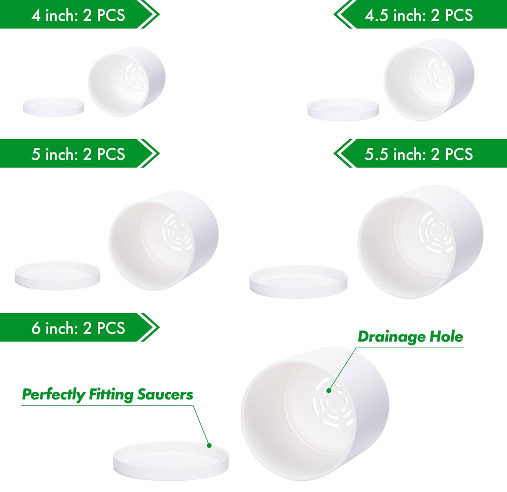 D'vine Dev lineup of five sizes showing size variety and benefit of planting flexibility