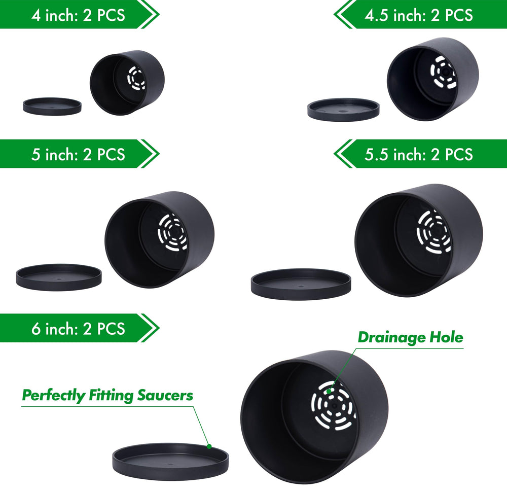 D'vine Dev lineup of all five sizes illustrating size choices and display options