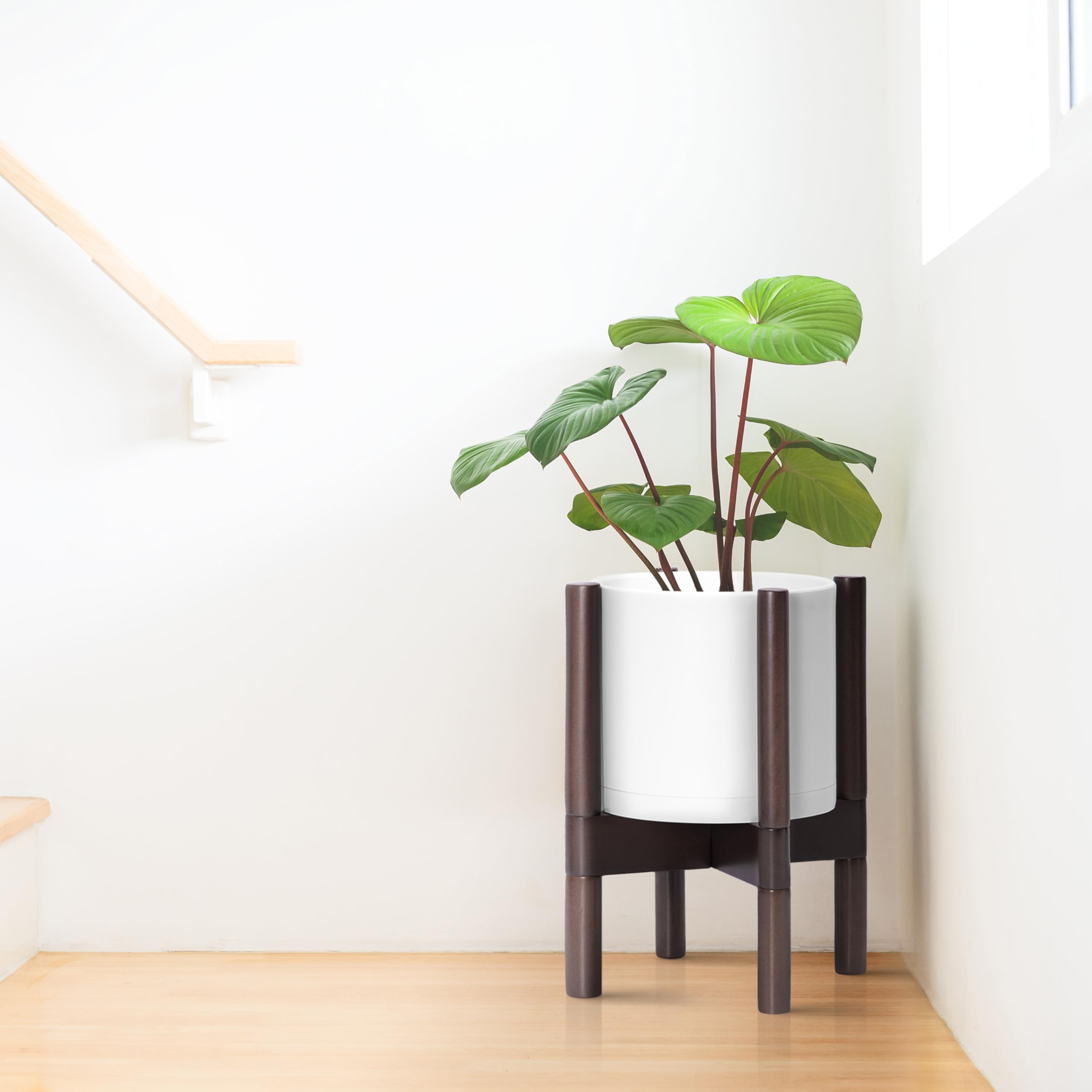 D'vine Dev walnut wood stand detail, shows solid joinery and warmth