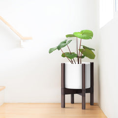 D'vine Dev walnut wood stand detail, shows solid joinery and warmth