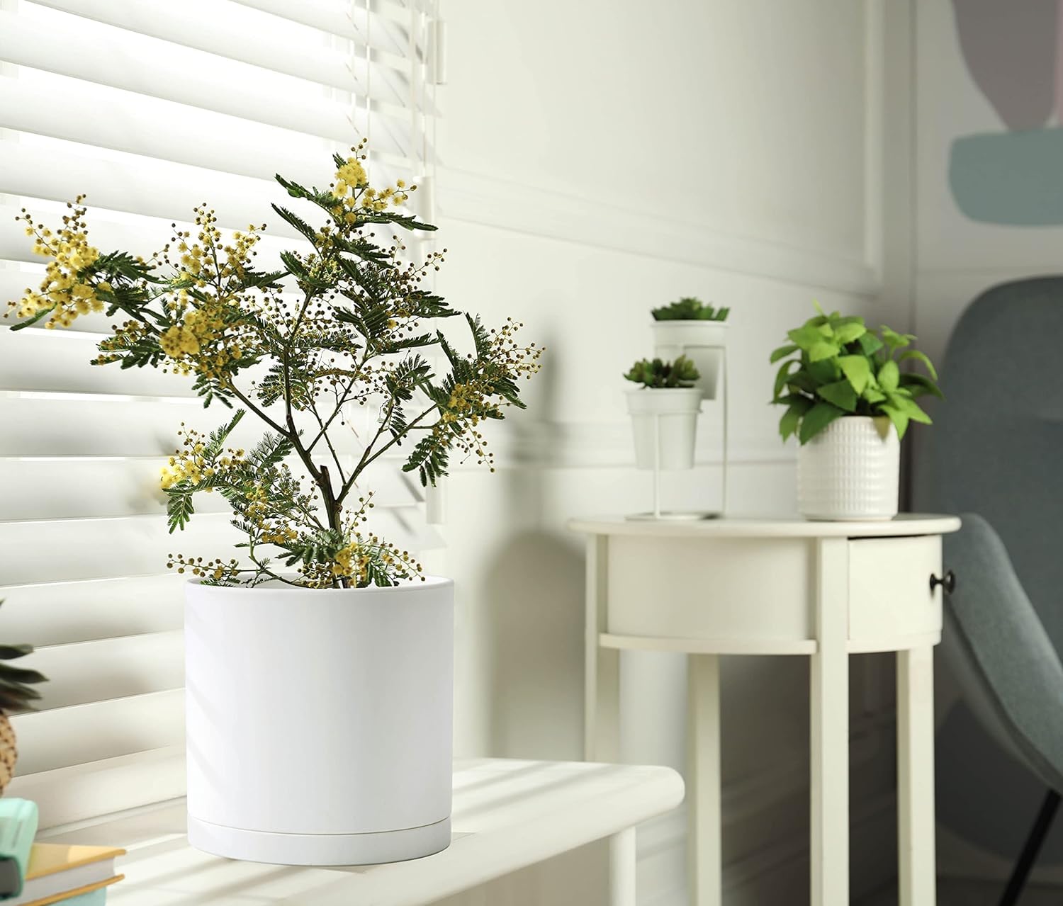 D'vine Dev planter with plant styled on shelf demonstrating decorative benefit