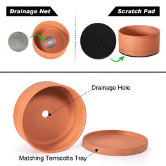 D'vine Dev side angle showing included saucer protecting surfaces and catching runoff