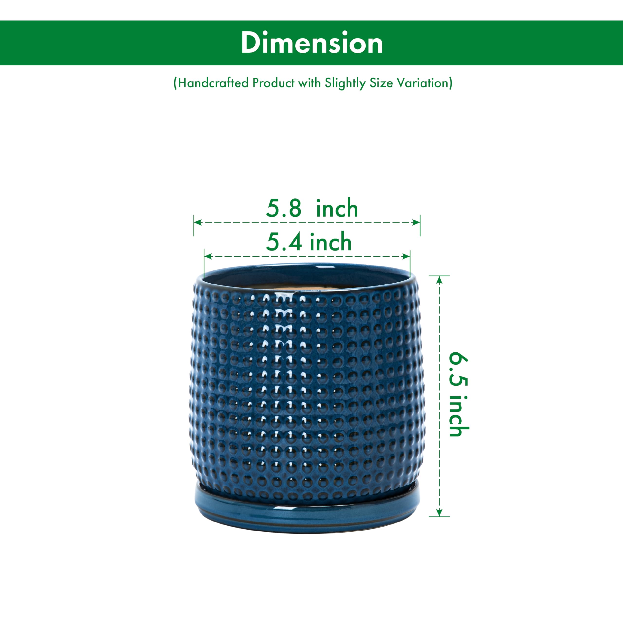 D'vine Dev top view with matching saucer showing secure, removable fit