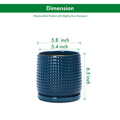 D'vine Dev top view with matching saucer showing secure, removable fit