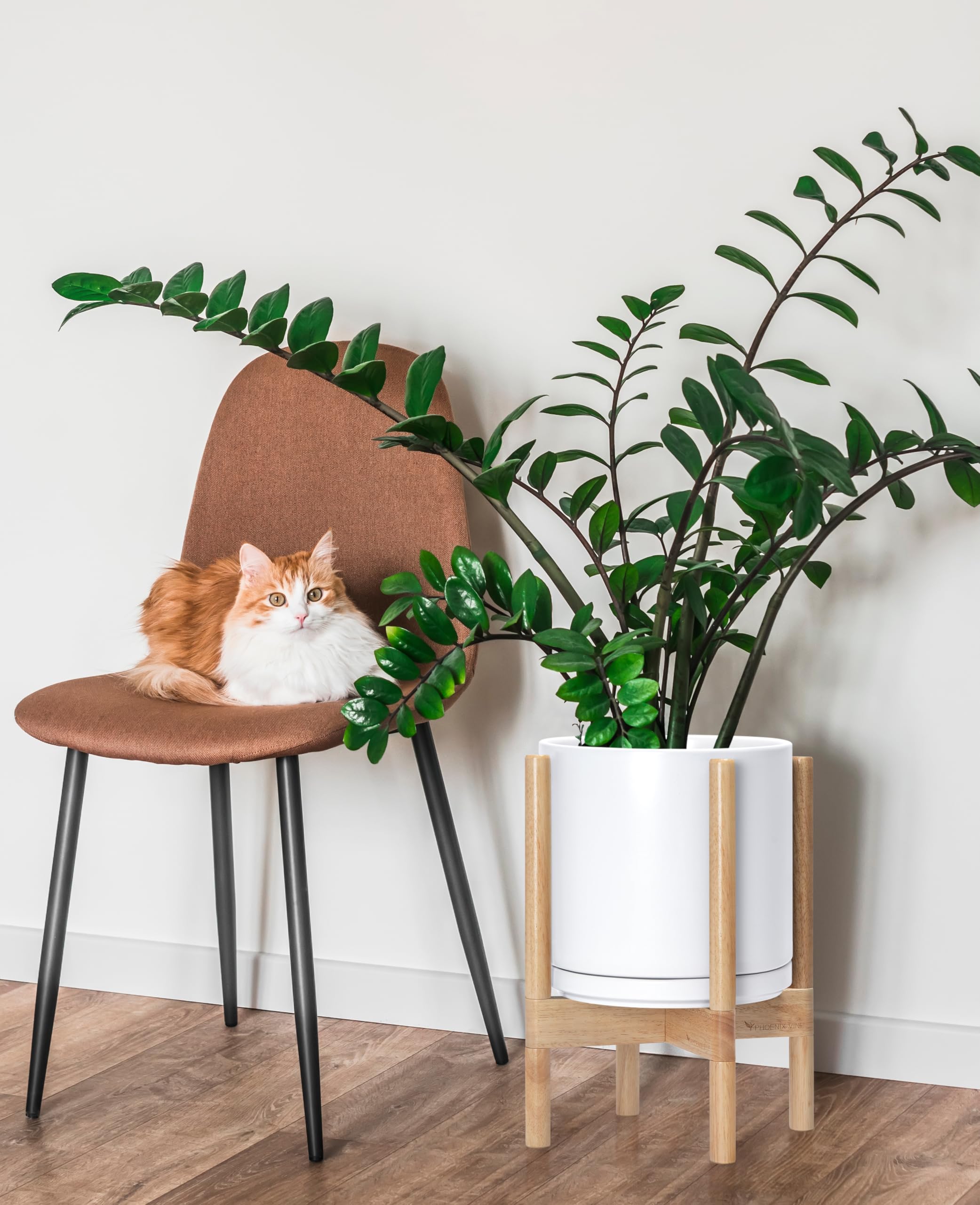 D'vine Dev planter with snake plant in use showing elevated display and easy care