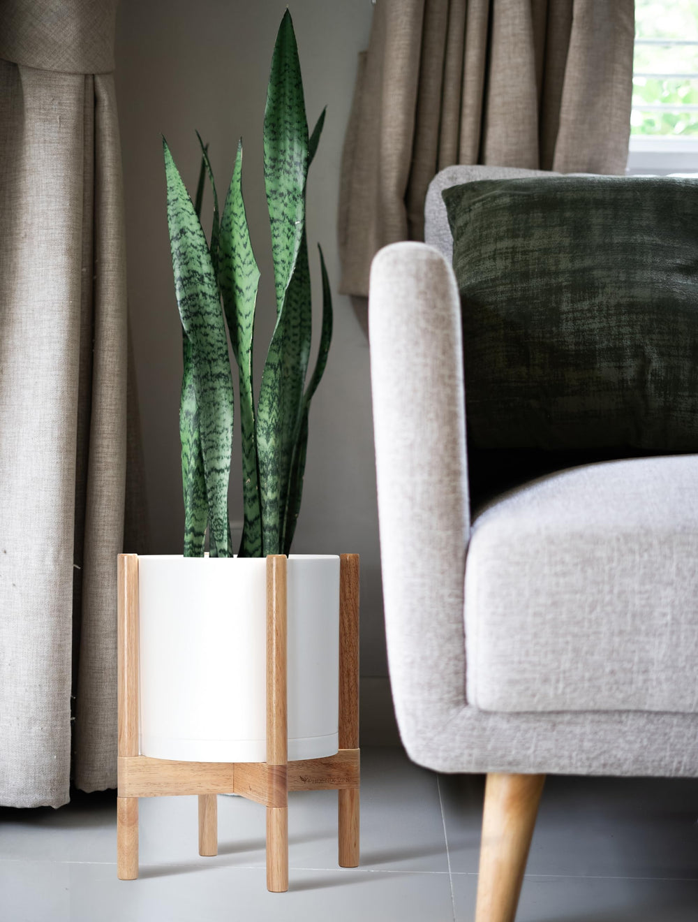 D'vine Dev planted with snake plant to show how brand elevates indoor greenery