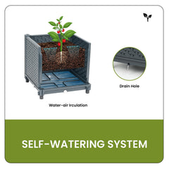DXront view of self-watering reservoir and plug showing moisture control benefit