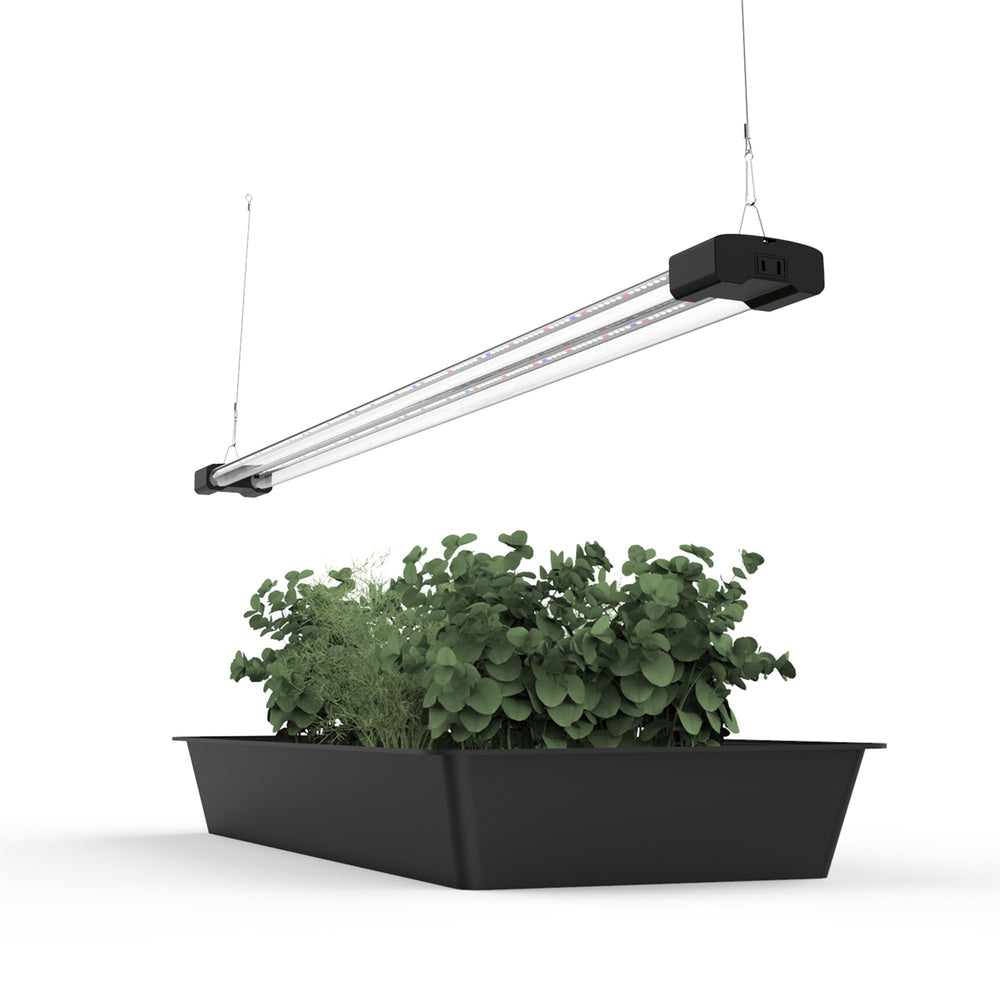 DYMOND Boostgro close-up of LED array highlighting spectral diodes for growth